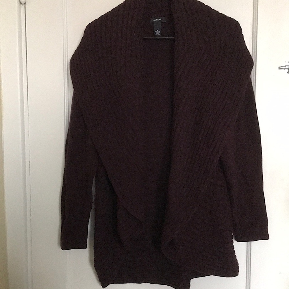 Cranberry Alfani long sleeved sweater